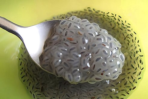 Semi di chia in ammollo in un cucchiaio